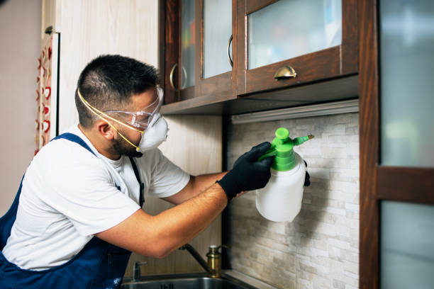 Flea Control Services in Liberal, KS
