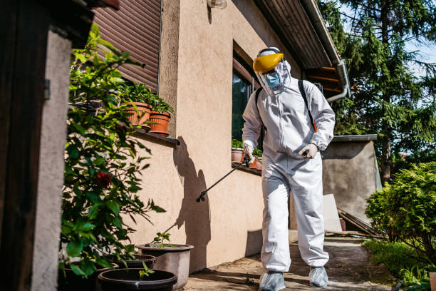 Best Local Pest Control Services  in Liberal, KS