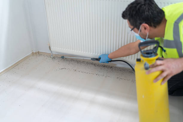 Best Pest Prevention Services  in Liberal, KS